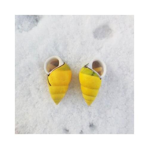 Rare species of conch shell window decoration fish tank landscaping yellow left and right spiral snails
