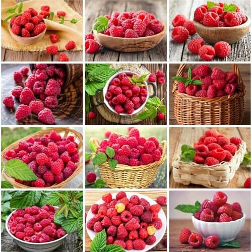 Huacan 5d DIY Diamond Painting Mosaic Full Square Red Raspberry Diamond Embroidery Cross Stitch Fruit Flower Beaded Pictures