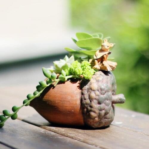Mini Filbert Pine Cone Succulent Plants Planter Flowerpot Vase Bonsai Landscape