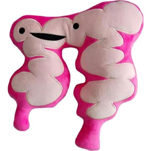 I Know My Own Heart Human Organs Plush Toy The Large Intestine Heart Uterus Soft Stuffed Doll For Children Birthday Gifts