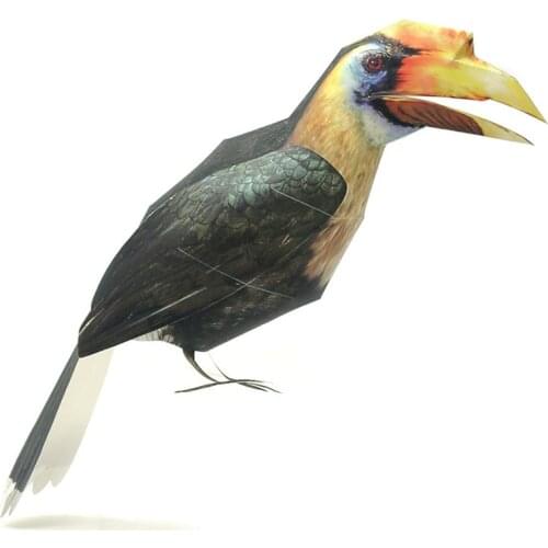 Hornbill Bird Paper Model Realistic Animal Mini Cute Fold 3D Papercraft DIY Kids Adult Handmade Construction Craft Toys WE-024