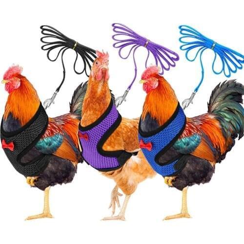 L Size Fashion Chicken Vest Hen Belt Pet Harness Matching Collars Bow Comfortable Leads Breathable Poultry Supplies Outdoor