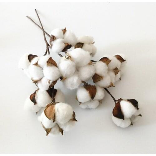 6Heads Dried Cotton Flower Branch Artificial Plants Flower DIY Home Wedding Decoration Wreath Bunches Natural Material Floral