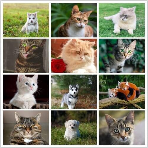 5d Diy Diamond Painting Animal Square Diamond Embroidery Cat Handmade Cross Stitch Kit Home Decoration