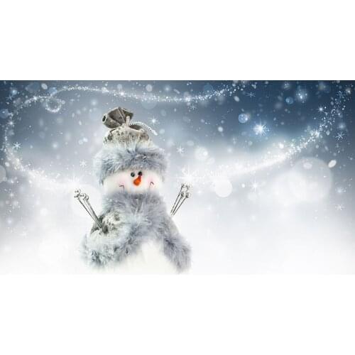 Snowmen newborn photo backgrounds fabric kid birthday photo-shots backdrop for photography studio accessories fotografia LV-1141