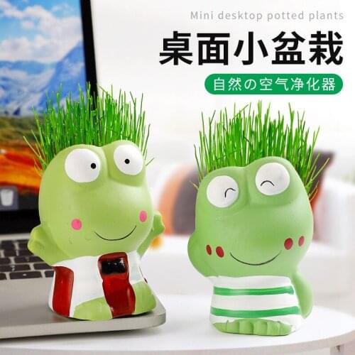Home Decoration Creative Desktop Mini Potted Plants Potted Plants Kindergarten Children DIY Planting Small Plants Sprout