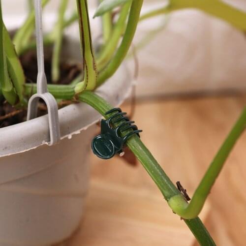YYSD 100 PCS Plant Support Clips Garden Clips Flower Orchid Stem Clips for Vine Support