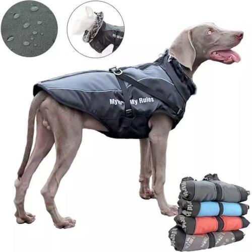 Waterproof Winter Dog Clothes Warm Large Dogs Jacket For Small Big French Bulldog Coat Personalized Pet Clothing Fur Collar Pug