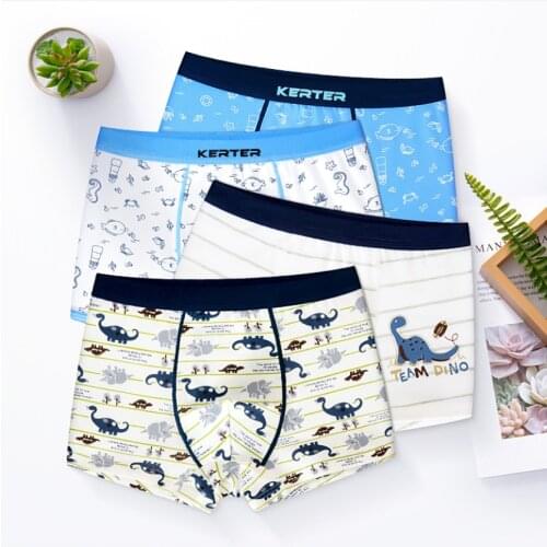 Kids Underwear Boys Cotton Panties For Boy Cartoon Briefs Children Teenage Underpants 2Pcs/Lot