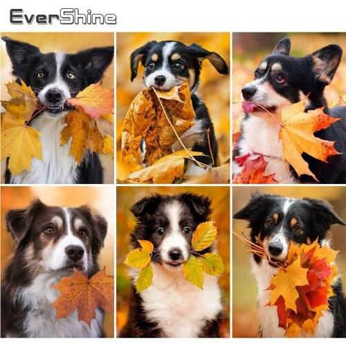 Evershine Dog Diamond Painting Kits Sale Diamond Embroidery Autumn Animal Picture Rhinestones Mosaic Needlework Home Decor