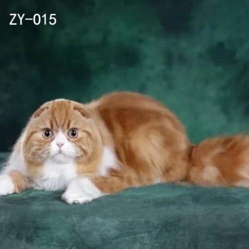 DAWNKNOW Pet Cat Photography Background Backdrop Green Painting Photocall Muslin Pro Tie-Dyed Shoot Photo Studio Props 2x3M