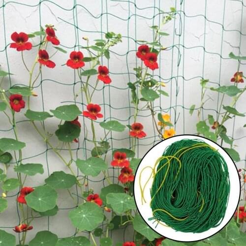 Melon Fruit Morning Glory Vine Net Flower Vine Cucumber Trellis Netting Plant Net For Plant Climbing Garden Supplies