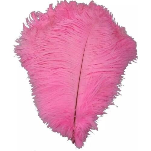 Natural Pink Ostrich Feathers for DIY Jewelry Craft Making Wedding Party Decor Accessories Wedding party Decorations 16-18inch