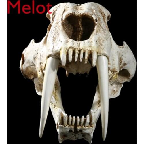 1:1 American Ancient Animals Saber Tooth Cat Tiger Skull Sabertooth Smilodon Fatalis Specimen Model Animal Skeleton Model