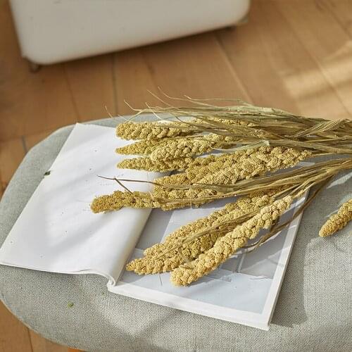 Northern European-Style Natural Plant Dry Bouquet Flower Arrangement Decorative Grass Home Decoration Dry Flower