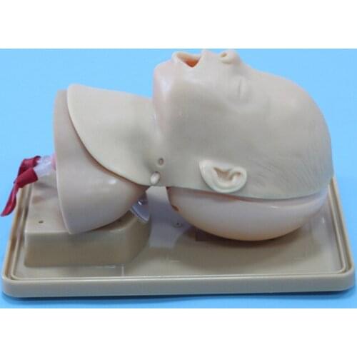 Neonatal Tracheal Intubation Training Model,Newborn Intubation Model,Baby Model