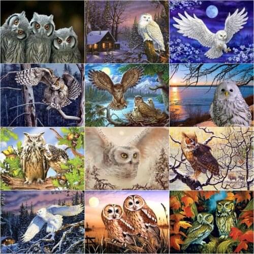 GATYZTORY Painting By Numbers Kits For Adults Children White Owl Animal 40x50cm Frame Picture By Number Handmade Decor Gift
