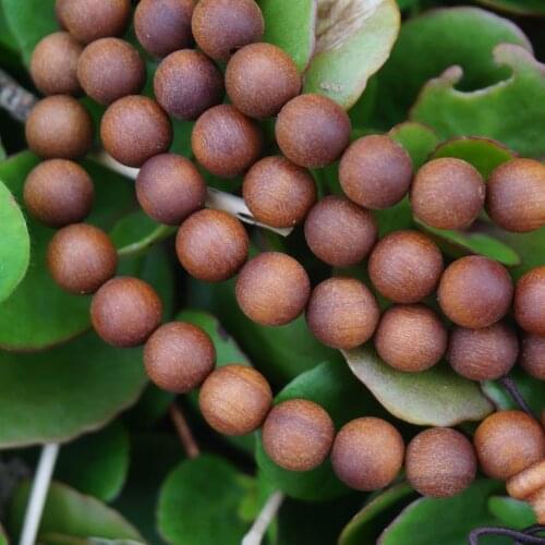 6mm 8mm 10mm 12mm Natural Sandalwood Aromatic Old Babi Wood Beads Wood Round Beads Mala Bracelet Yoga Bracelet