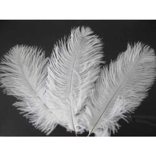 Wholesale wedding 100 PCS beautiful white ostrich the feathers 8-10inch 20-25CM freeshipping