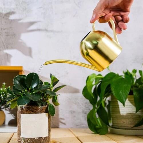 300ml Black Stainless Steel Watering Can Indoor Outdoor Plants Long Spout Watering Pot Watering Device Meaty Bonsai Garden Tool