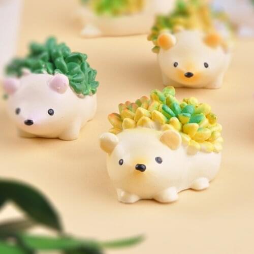 Japan Genuine Yell Gashapon Capsule Toys Animal Model Simulation Plant Table Ornaments Decoration Succulent Hedgehog