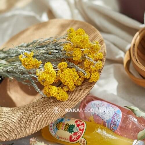 Natural Imported Plants Pastoral Mini Ball Chrysanthemum Dry Bouquet with Living Room Decoration Home Decoration