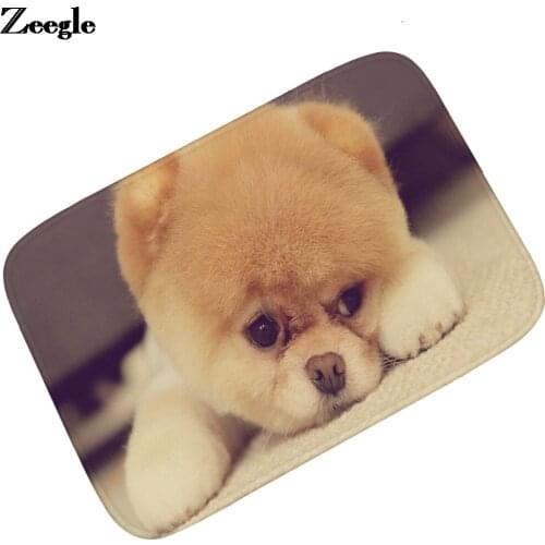 Zeegle Anti-Slip Flannel Floor Mat Waterproof Entrance Door Mat Kitchen Bathroom Carpet Rug Home Decortain Outdoor Doormat