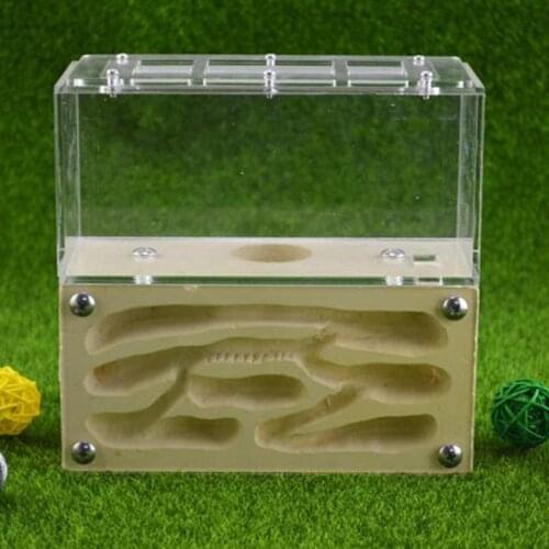 Three-dimensional Plaster Ant Nest Dungeon Ant Farm Reptile Villa Plaster Nest