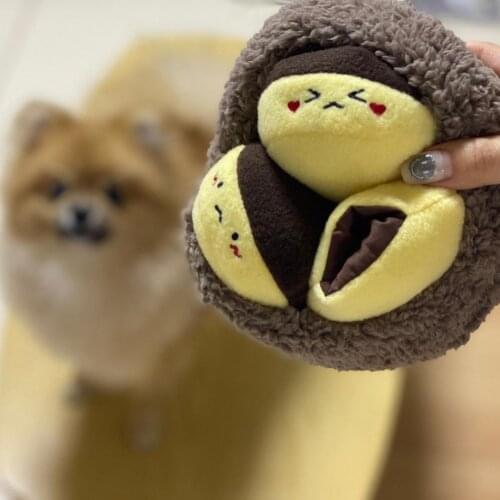 Ins Korean Plush Chestnut Squeaky Dog Toys Bite-Resistant Clean Dog Chew Puppy Training Toy Soft Pet Supplies