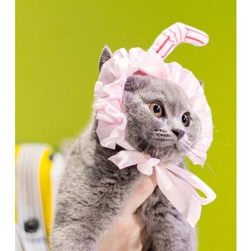 Dogstory Clothes For Cats