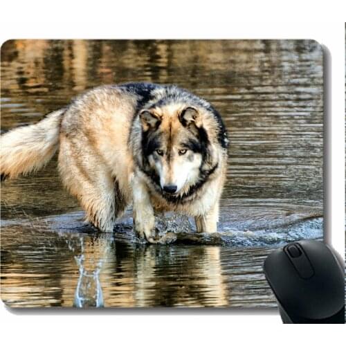 Mouse Pad Non-Skid Natural Rubber Rectangle Mouse Pads,Animal wolf mouth Gaming Mousepad Mat