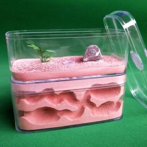 Ant World Workshop Plaster Ant Nest Ant Nest Ant Nest Birthday Gift Popular Science ants test tube ant farm