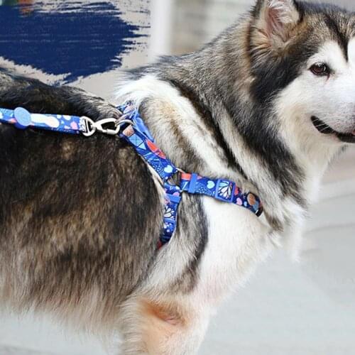 Dog Vest Chest Strap Explosion Proof Good Craftsmanship Adjustable Polyester Walking Dog Safety Leashes Dog Supplies