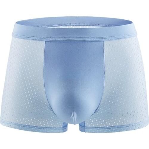 Mens Boxers Shorts Sexy Underwear Man Ice Silk Mesh Panties Solid Breathable Pouch Underpants Male Boxershort Cueca Large Size