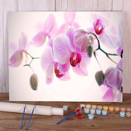Flower Orchid Paint By Numbers Set Acrylic Paints 40*50 Picture By Numbers Photo Loft Wall Picture Kids Drawing