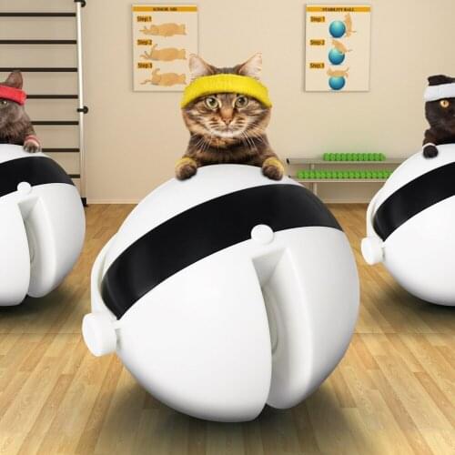 Lifting Cat Ball Toy Electric Automatic Flutter Rotating Interactive Puzzle Smart Cats Teaser Ball Toy Cat Accessories Pet