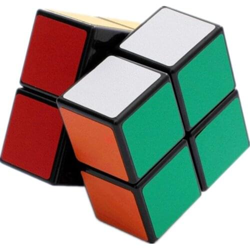 SHEGNSHOU Cube 2X2 Magic Cube 2 By 2 Cube 50mm Speed Pocket Sticker Puzzle Cube Professional Educational Toys For Children