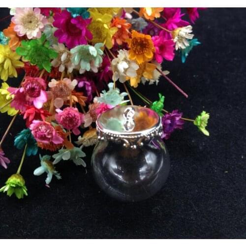 100pcss/lot 20*15mm silver plated clear glass globe bottle set glass vial pendant glass dome cover necklace diy pendants jewelry