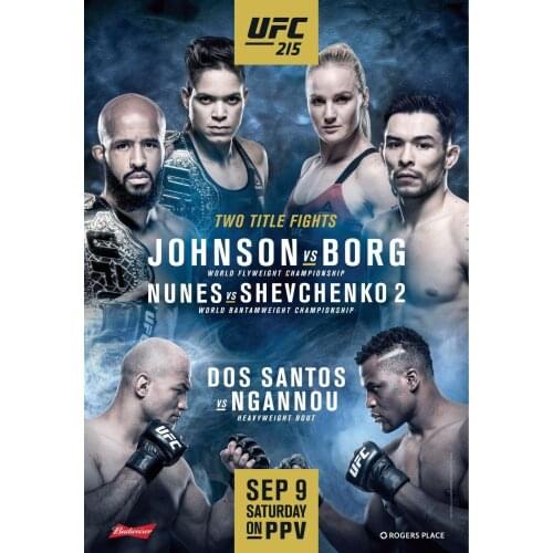 215 Fight - Johnson vs Borg, Nunes vs Shevchenko 2, Ngannou Art Film Print Silk Poster Home Wall Decor 24x36inch