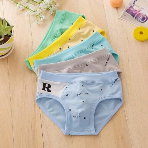 5 Pc/Lot Boys Briefs Gifts Underwear Boy Organic Cotton Cartoon Shorts Briefs Children New Style