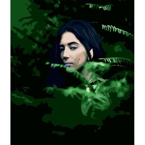 Beautiful Forest Elf DIY Painting By Numbers Hand Painted Oil Painting Adult Child Picture Colouring Home Decor Unique Gift