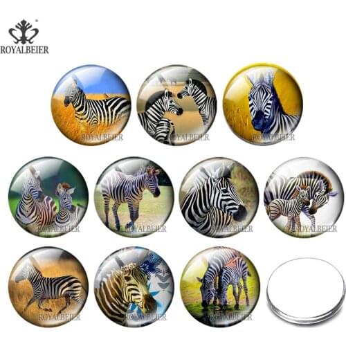 10pcs/lot Mixed Cute Zebra Round Glass Cabochon Buttons 2mm/16mm/18mm/25mm/30mm Glass Snaps Fit Jewelry Bracelet Accessories