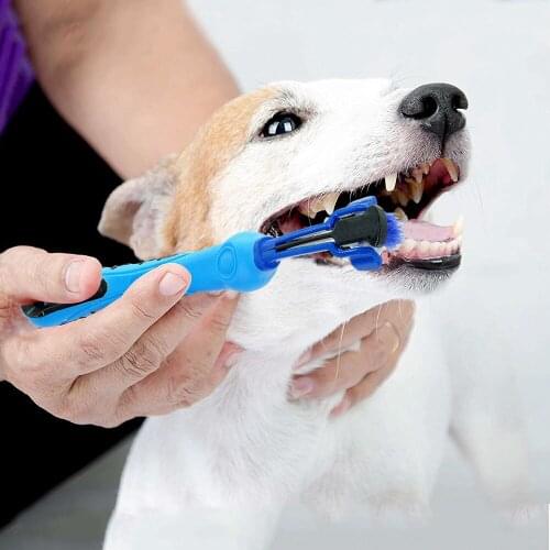 1 Pcs Dog Toothbrush Three Head Pet Tooth Brush Teeth Cleanning Supplies Pets Oral Care For Small Dogs Cats Chihuahua Teddy