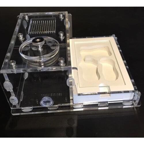 Gypsum Ant Nest Ant Villa Acrylic Plane Nest Insect Terrarium Ants Farm House