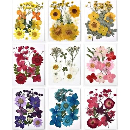 12 Pcs/Bag Dried Flowers DIY Epoxy Resin Glue Filling Decoration Flower Bougainvillea Art Natural Embossing Jewelry Making