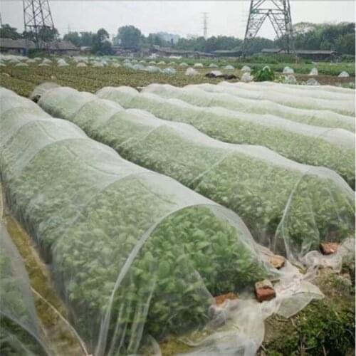 Garden Vegetable Insect Net Cover Plant Flower Care Protection Network Bird Insect Pest Prevention Control Mesh 5/15M Long