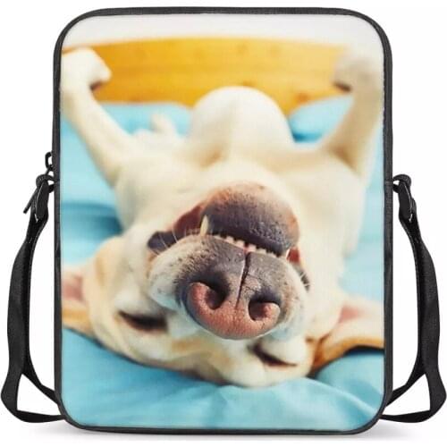 HYCOOL Funny Animal Print Messenger Bag Ladies Crossbody Bags for Travel Girls Satchel Women Handbag Small Shoulder Bag Bookbag