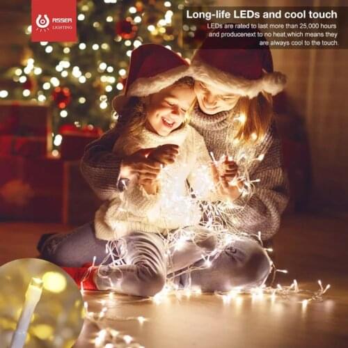 Christmas Led String Fairy Lights Garland Home Holiday Decoration Wedding Led Curtain Light AC 220V