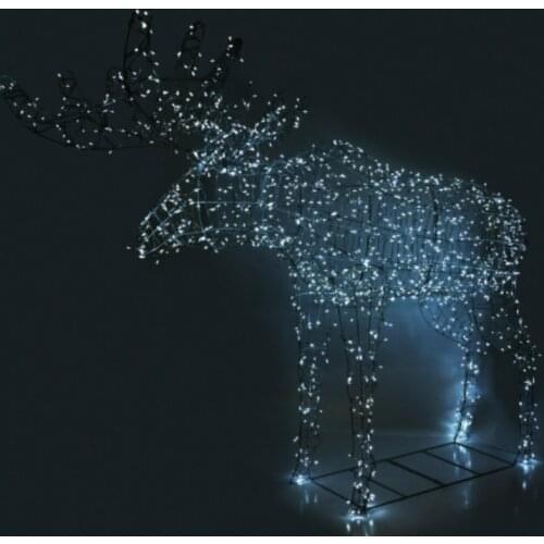 Russian Garden Lighting