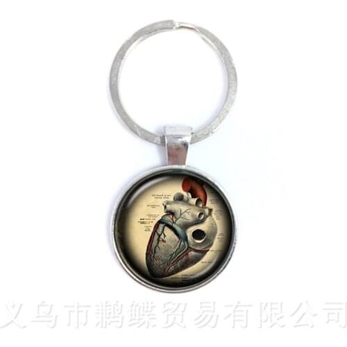 Steampunk Human Anatomy Organ Keychains Glass Cabochon Science Medical Punk Pendant Glass Dome Brain Eye Jewelry Keyring